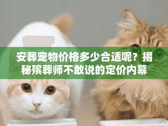 安葬宠物价格多少合适呢？揭秘殡葬师不敢说的定价内幕