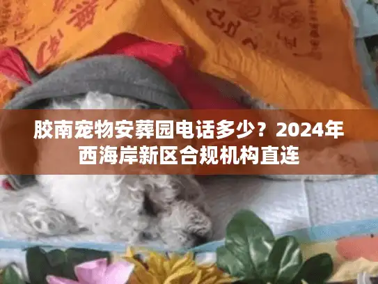 胶南宠物安葬园电话多少？2024年西海岸新区合规机构直连
