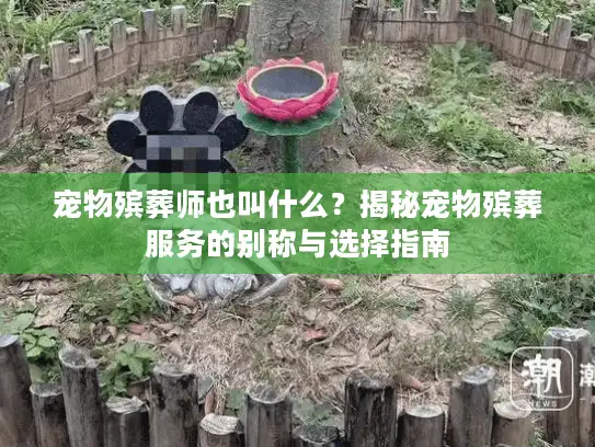 宠物殡葬师也叫什么？揭秘宠物殡葬服务的别称与选择指南