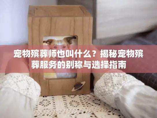 宠物殡葬师也叫什么？揭秘宠物殡葬服务的别称与选择指南