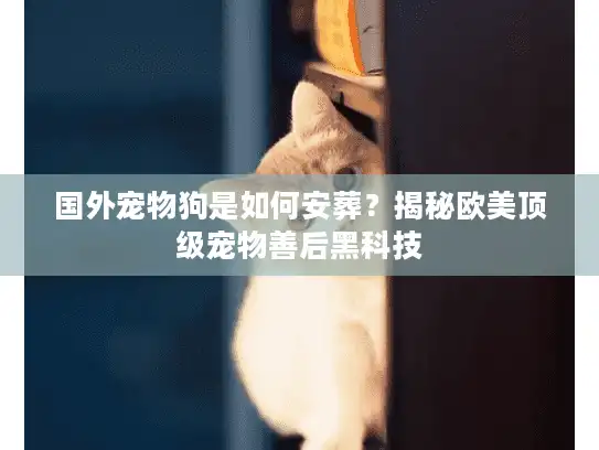 国外宠物狗是如何安葬?揭秘欧美顶级宠物善后黑科技 国外宠物狗是如何安葬?揭秘欧美顶级宠物善后黑科技