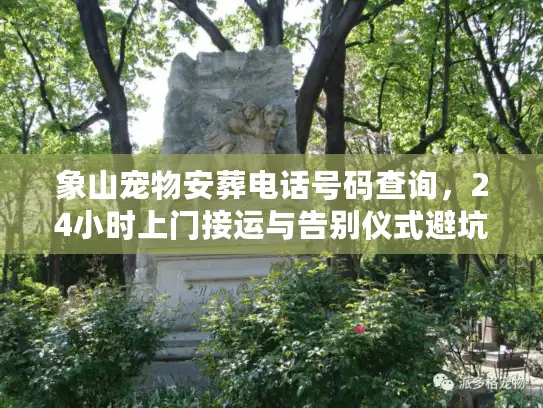 象山宠物安葬电话号码查询，24小时上门接运与告别仪式避坑实战
