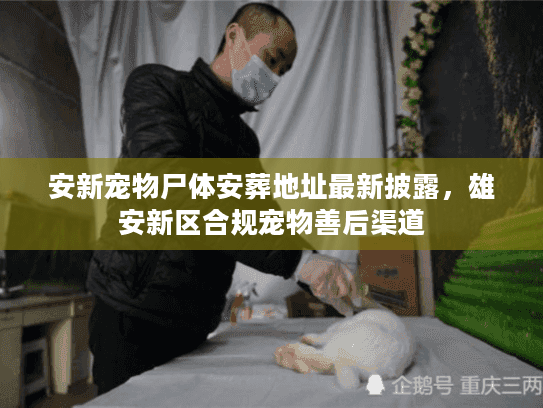 安新宠物尸体安葬地址最新披露，雄安新区合规宠物善后渠道