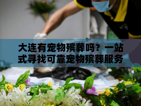 大连有宠物殡葬吗？一站式寻找可靠宠物殡葬服务指南
