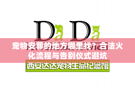 宠物安葬的地方哪里找?合法火化流程与告别仪式避坑 宠物安葬的地方哪里找?合法火化流程与告别仪式避坑
