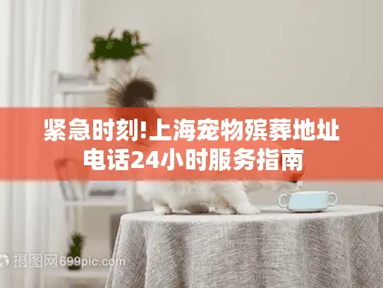 紧急时刻!上海宠物殡葬地址电话24小时服务指南 紧急时刻!上海宠物殡葬地址电话24小时服务指南