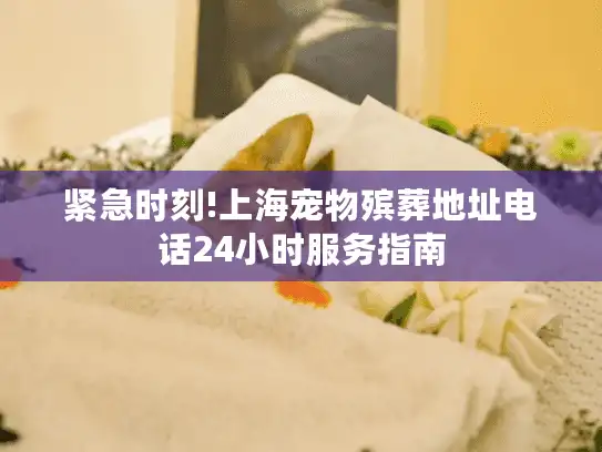 紧急时刻!上海宠物殡葬地址电话24小时服务指南 紧急时刻!上海宠物殡葬地址电话24小时服务指南