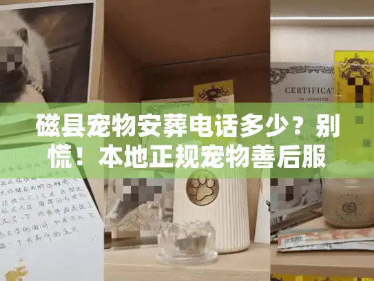 磁县宠物安葬电话多少?别慌!本地正规宠物善后服务热线 磁县宠物安葬电话多少?别慌!本地正规宠物善后服务热线
