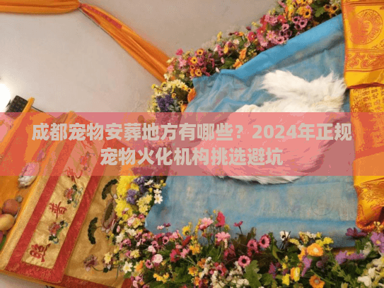 成都宠物安葬地方有哪些?2024年正规宠物火化机构挑选避坑 成都宠物安葬地方有哪些?2024年正规宠物火化机构挑选避坑