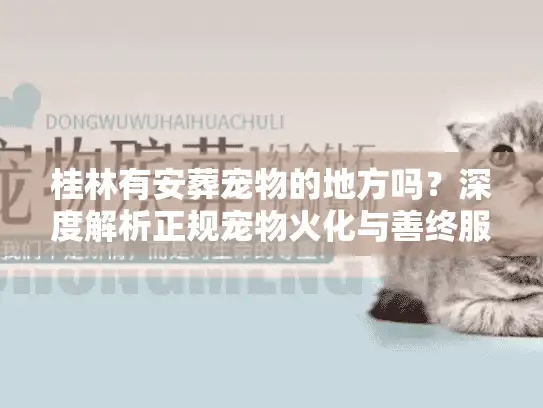 桂林有安葬宠物的地方吗？深度解析正规宠物火化与善终服务避坑