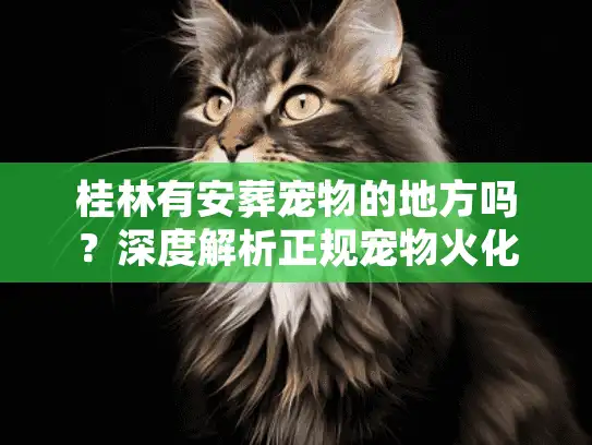 桂林有安葬宠物的地方吗？深度解析正规宠物火化与善终服务避坑