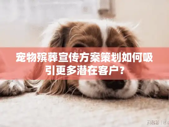 宠物殡葬宣传方案策划如何吸引更多潜在客户? 宠物殡葬宣传方案策划如何吸引更多潜在客户?