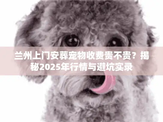 兰州上门安葬宠物收费贵不贵?揭秘2025年行情与避坑实录 兰州上门安葬宠物收费贵不贵?揭秘2025年行情与避坑实录