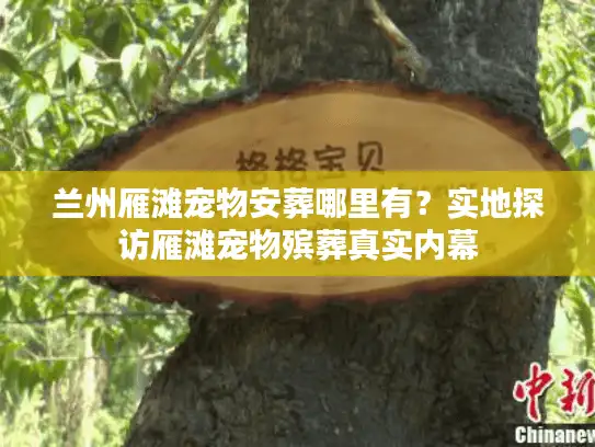 兰州雁滩宠物安葬哪里有？实地探访雁滩宠物殡葬真实内幕