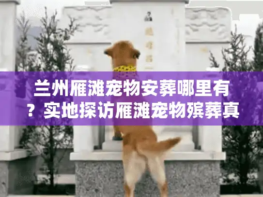 兰州雁滩宠物安葬哪里有？实地探访雁滩宠物殡葬真实内幕