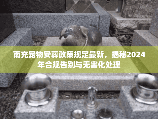 南充宠物安葬政策规定最新，揭秘2024年合规告别与无害化处理