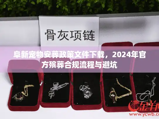 阜新宠物安葬政策文件下载，2024年官方殡葬合规流程与避坑