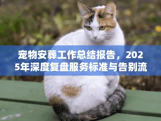 宠物安葬工作总结报告，2025年深度复盘服务标准与告别流程