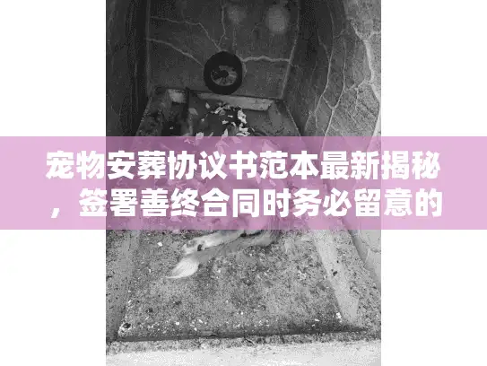 宠物安葬协议书范本最新揭秘，签署善终合同时务必留意的法律红线