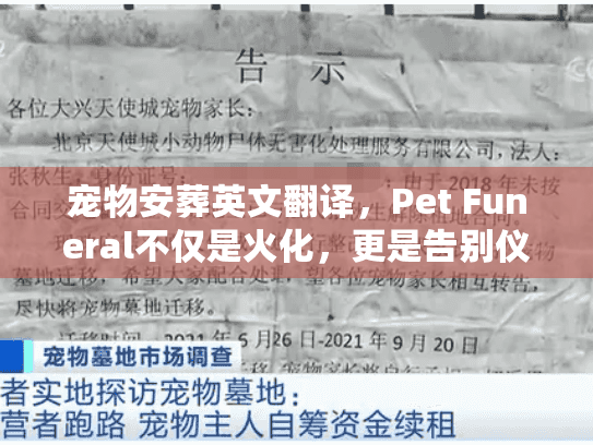 宠物安葬英文翻译，Pet Funeral不仅是火化，更是告别仪式