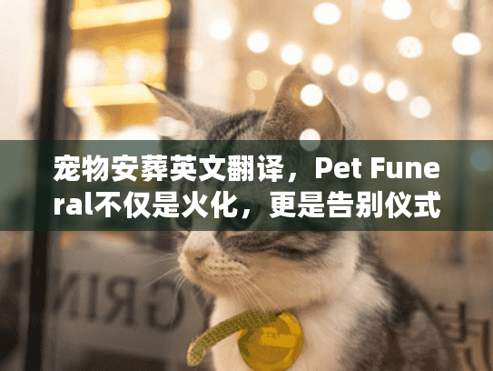 宠物安葬英文翻译，Pet Funeral不仅是火化，更是告别仪式