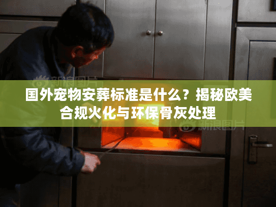 国外宠物安葬标准是什么？揭秘欧美合规火化与环保骨灰处理