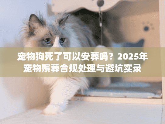 宠物狗死了可以安葬吗？2025年宠物殡葬合规处理与避坑实录