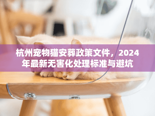 杭州宠物猫安葬政策文件，2024年最新无害化处理标准与避坑