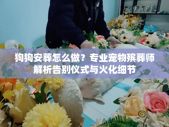 狗狗安葬怎么做?专业宠物殡葬师解析告别仪式与火化细节 狗狗安葬怎么做?专业宠物殡葬师解析告别仪式与火化细节