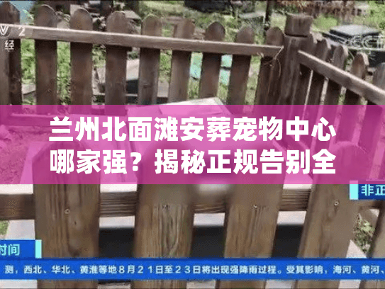 兰州北面滩安葬宠物中心哪家强？揭秘正规告别全流程与避坑细节