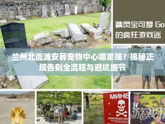 兰州北面滩安葬宠物中心哪家强？揭秘正规告别全流程与避坑细节