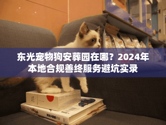 东光宠物狗安葬园在哪？2024年本地合规善终服务避坑实录