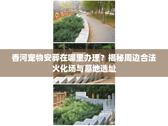 香河宠物安葬在哪里办理？揭秘周边合法火化场与墓地选址