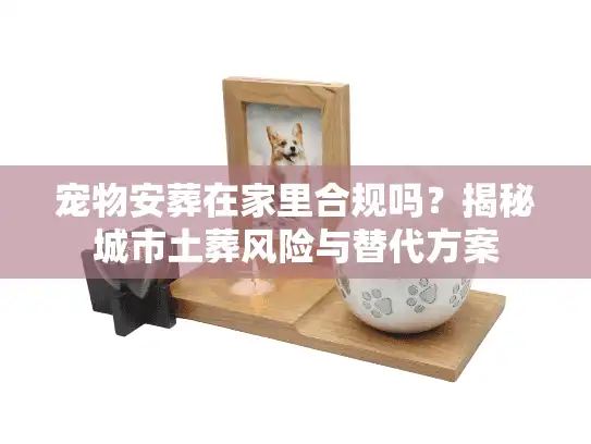 宠物安葬在家里合规吗？揭秘城市土葬风险与替代方案