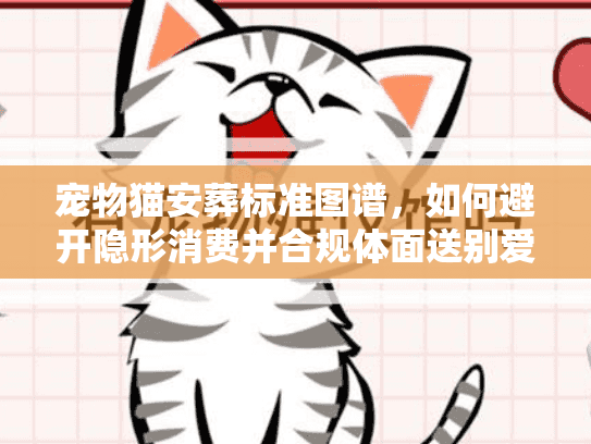 宠物猫安葬标准图谱，如何避开隐形消费并合规体面送别爱宠？