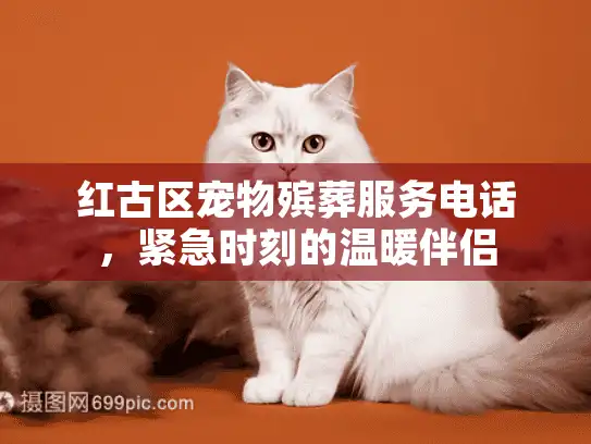红古区宠物殡葬服务电话，紧急时刻的温暖伴侣