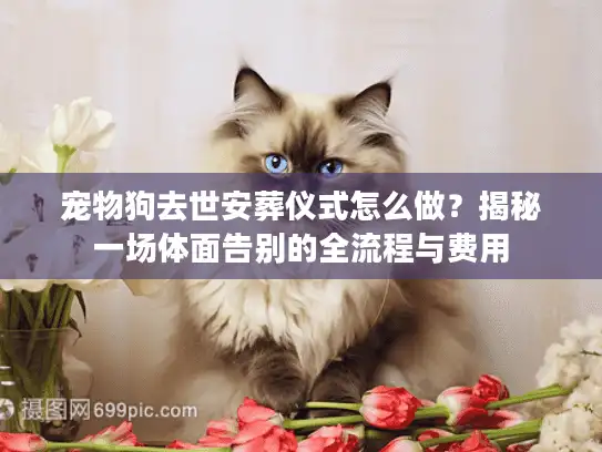 宠物狗去世安葬仪式怎么做？揭秘一场体面告别的全流程与费用