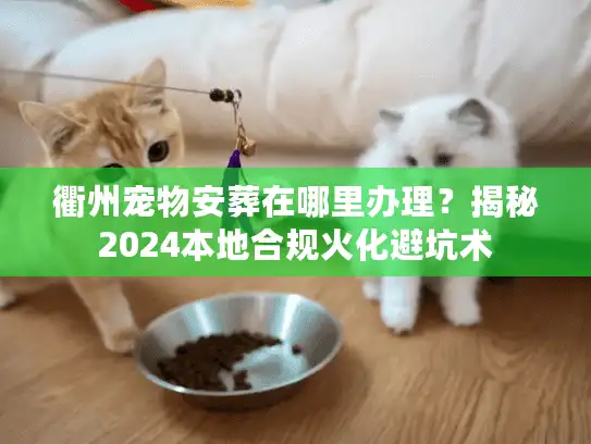 衢州宠物安葬在哪里办理？揭秘2024本地合规火化避坑术