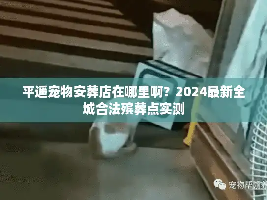 平遥宠物安葬店在哪里啊？2024最新全城合法殡葬点实测