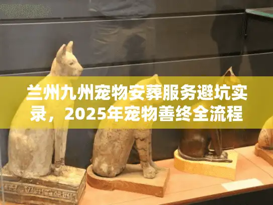 兰州九州宠物安葬服务避坑实录，2025年宠物善终全流程解析