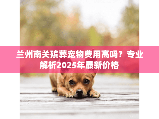 兰州南关殡葬宠物费用高吗？专业解析2025年最新价格