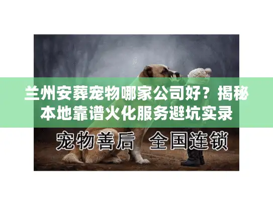 兰州安葬宠物哪家公司好？揭秘本地靠谱火化服务避坑实录