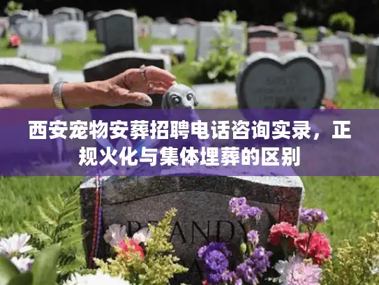 西安宠物安葬招聘电话咨询实录,正规火化与集体埋葬的区别 西安宠物安葬招聘电话咨询实录,正规火化与集体埋葬的区别