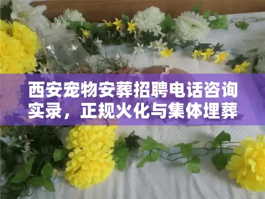 西安宠物安葬招聘电话咨询实录,正规火化与集体埋葬的区别 西安宠物安葬招聘电话咨询实录,正规火化与集体埋葬的区别