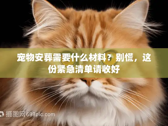 宠物安葬需要什么材料？别慌，这份紧急清单请收好