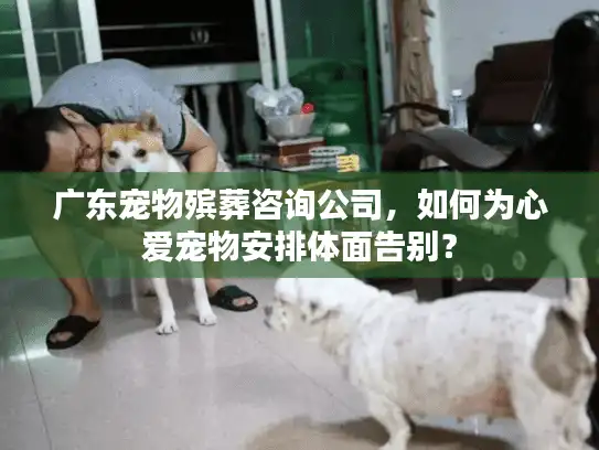 广东宠物殡葬咨询公司,如何为心爱宠物安排体面告别? 广东宠物殡葬咨询公司,如何为心爱宠物安排体面告别?