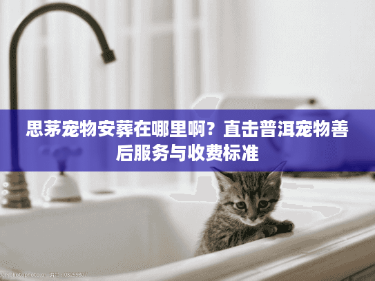 思茅宠物安葬在哪里啊?直击普洱宠物善后服务与收费标准 思茅宠物安葬在哪里啊?直击普洱宠物善后服务与收费标准