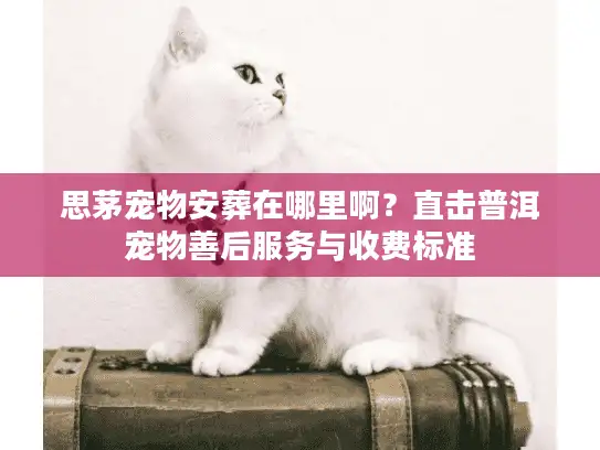 思茅宠物安葬在哪里啊?直击普洱宠物善后服务与收费标准 思茅宠物安葬在哪里啊?直击普洱宠物善后服务与收费标准