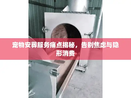 宠物安葬服务痛点揭秘，告别焦虑与隐形消费