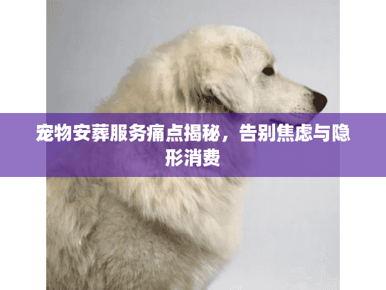 宠物安葬服务痛点揭秘，告别焦虑与隐形消费